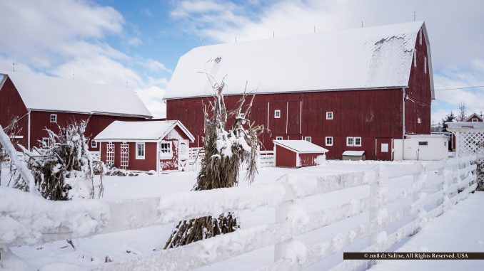 Rentschler Farm barn after March snowfall