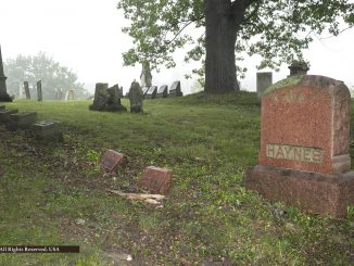 Haynes family plots in Oak Wood Cemetery, Saline Michigan