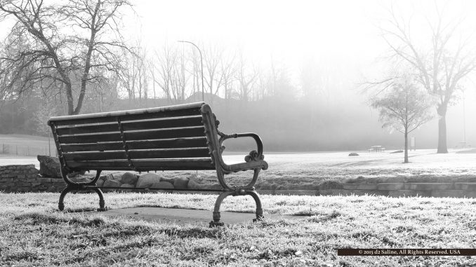 Arthur T Bowley Saline-Brecon Friendship Guild bench in Mill Pond Park