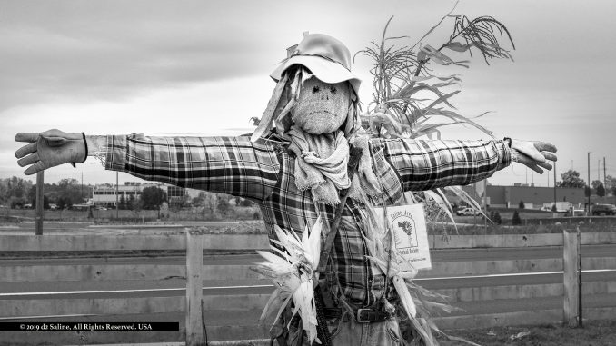 Saline Scarecrow Contest entry at Renschler Farm